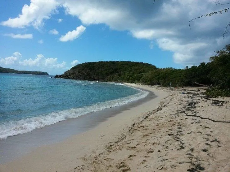 imagen de la playa Carlos Rosario