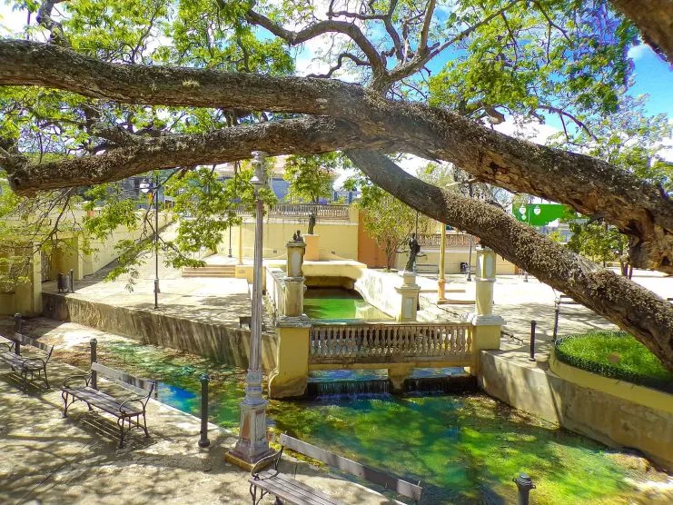 image of El Parterre Natural Spring
