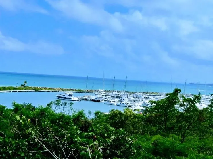 imagen de Las Gaviotas