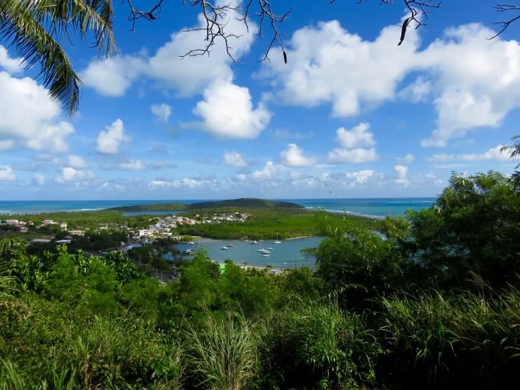 imagen del Barrio Mundo Tropical Naranjo