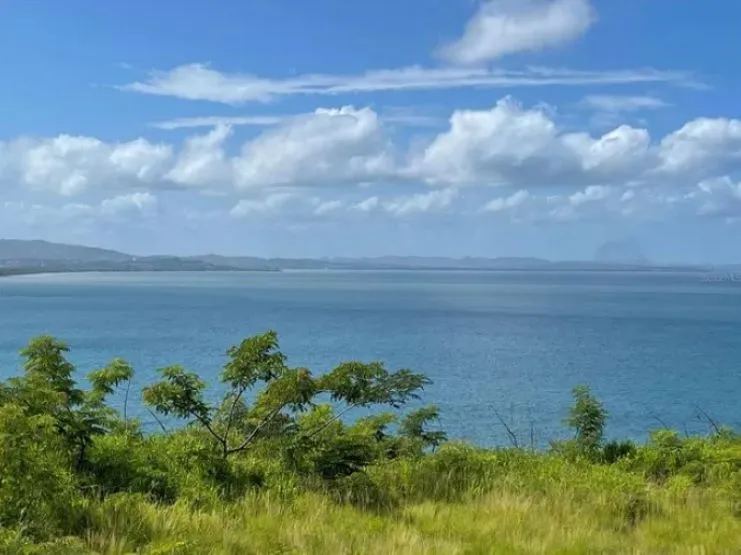 image of the view from Road 429