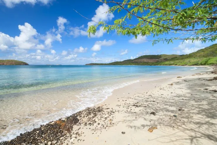 imagen de la playa Tamarindo