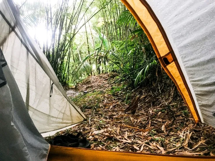 image of Camping in El Yunque National Forest
