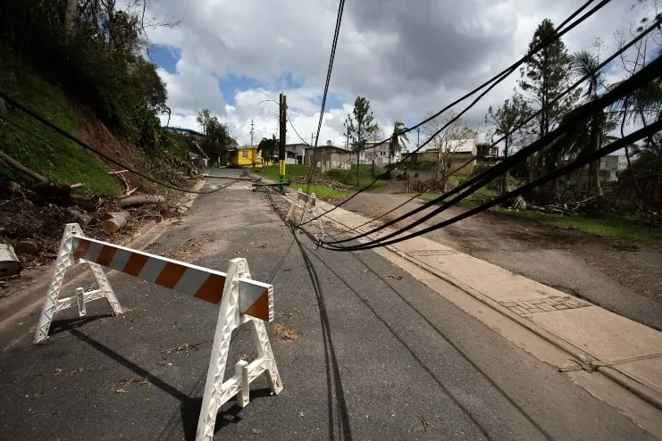 image of electrical lines after Hurricane Maria