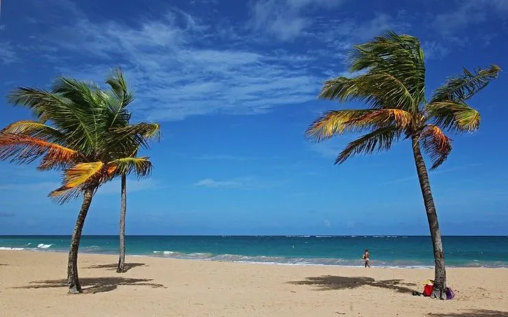 imagen de la playa de Ocean Park
