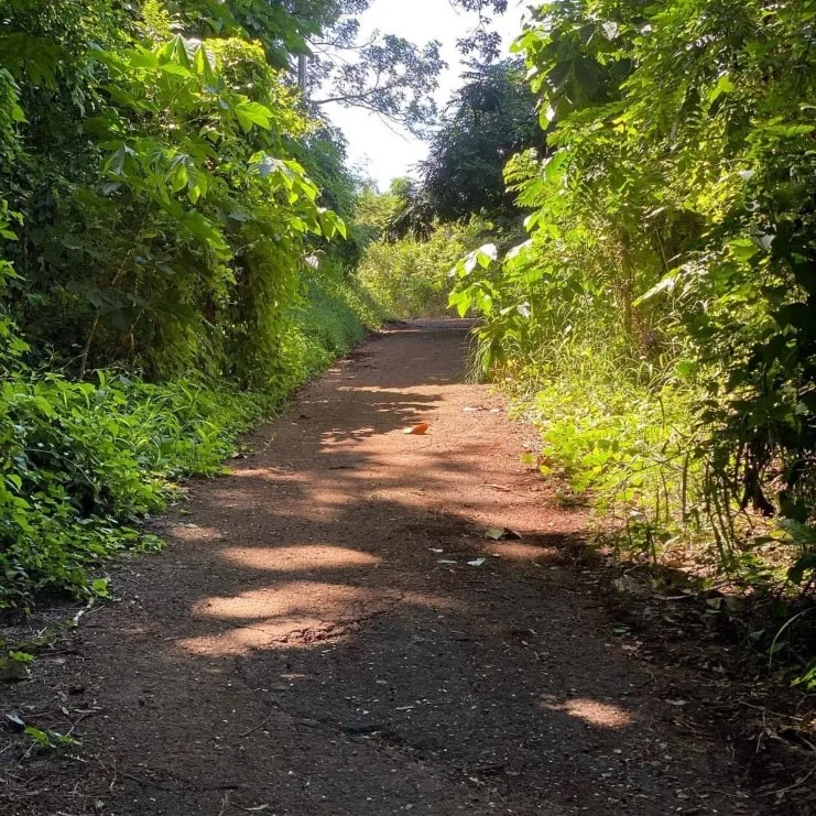 veredas de Monte Pirata