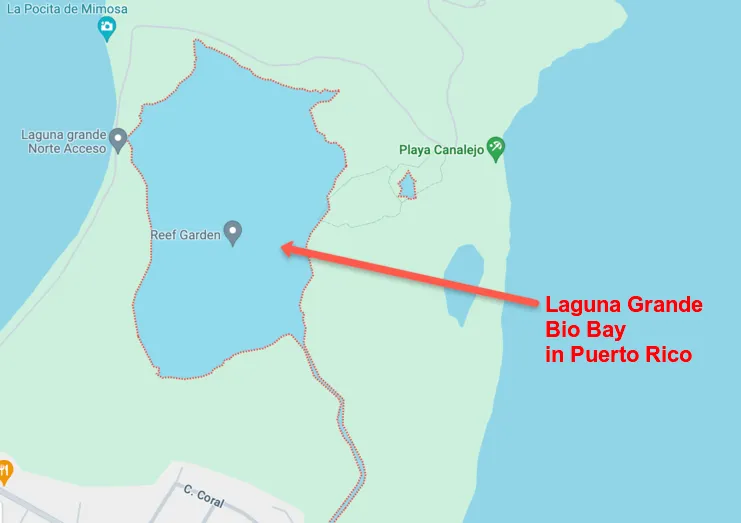 captura de pantalla de un mapa de google que muestra la bahía bioluminiscente de Laguna Grande