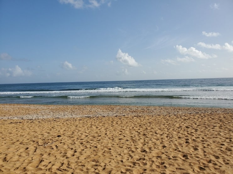 image of aviones beach