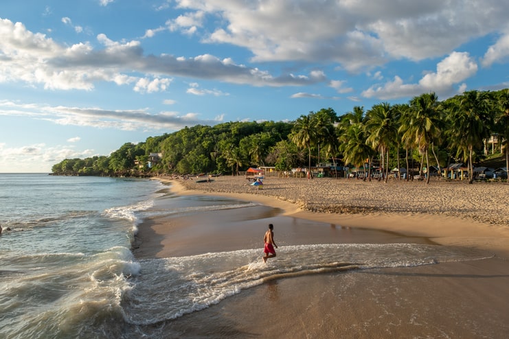 image of beach with coconut tree