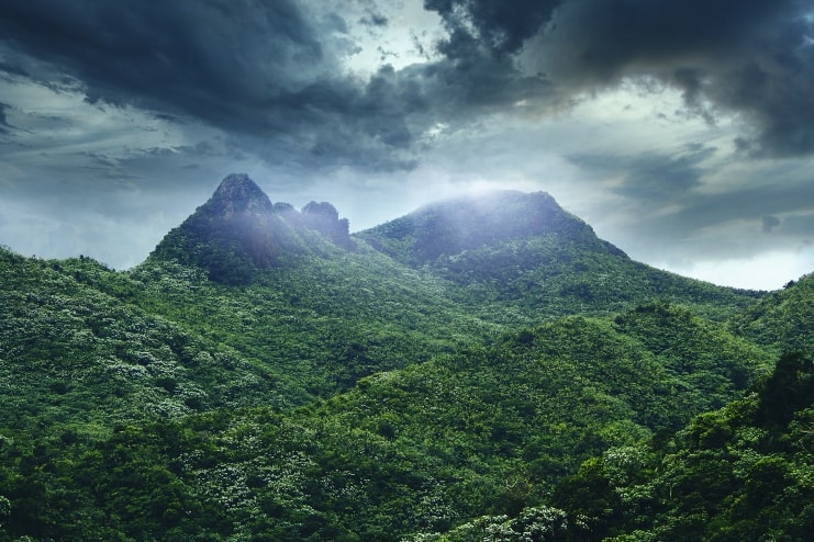 image of mountain forest