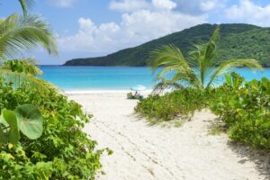 Culebra, Puerto Rico (2025 Guide) - All You Need To Know