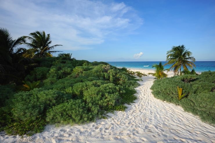 image of a beach