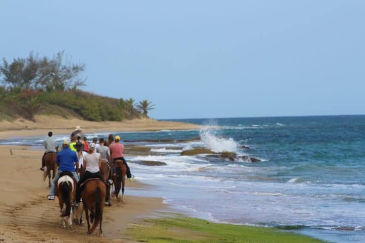 image of people ridding a horse