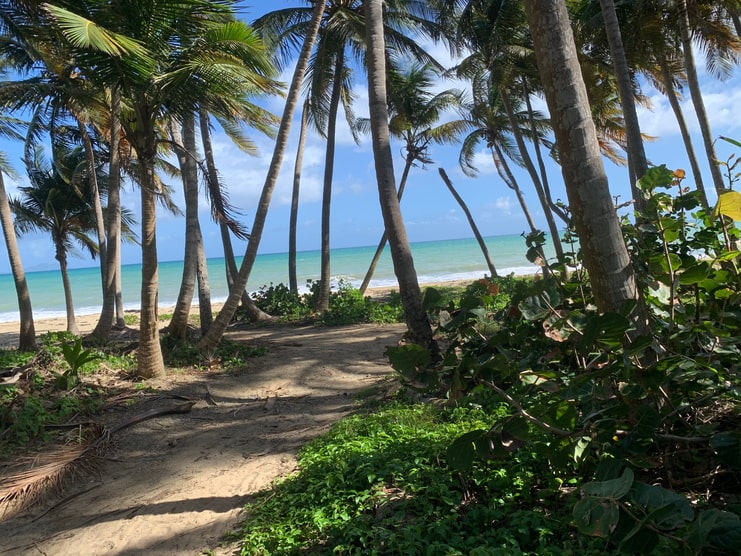 image of bike trail by beach in Humacao Nature