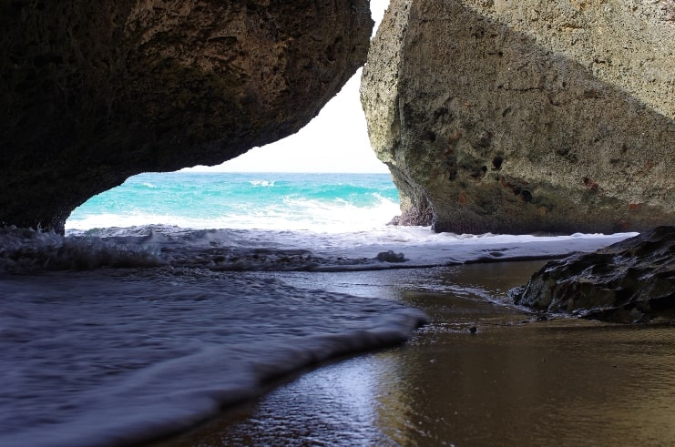 image of survival beach