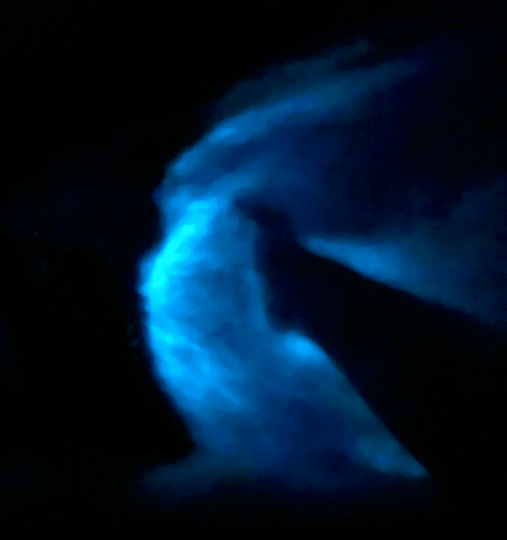 image of a person's hand going through the water with glowing bioluminescence around the hand