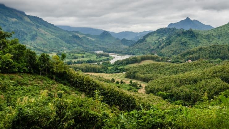 image of a view over El Yunque