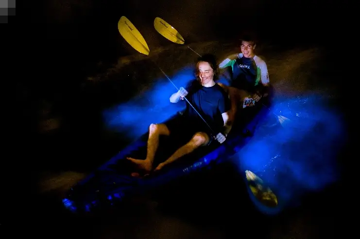 image of two people kayaking with bioluminescence around them