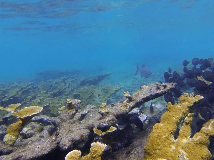 image of underwater view