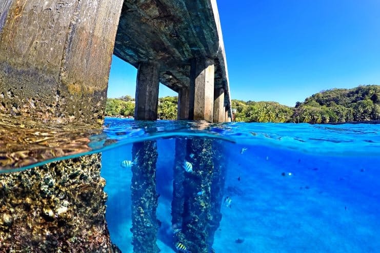 image of the underwater view in Crash Boat Beach