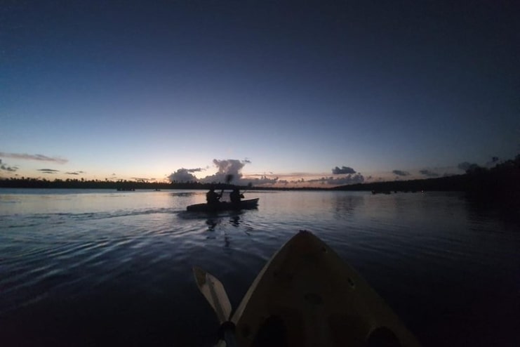 image of Bio Bay Night Kayaking