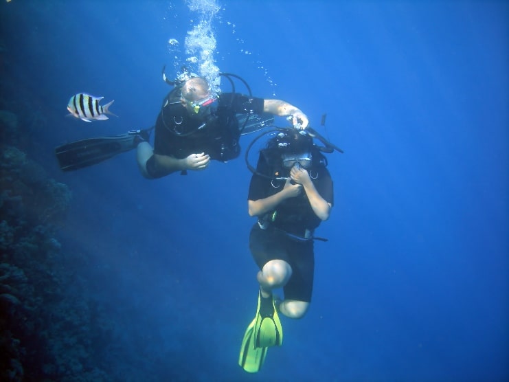 image of two people scuba diving