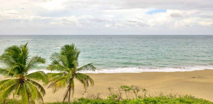 image of Dorado's beachfront