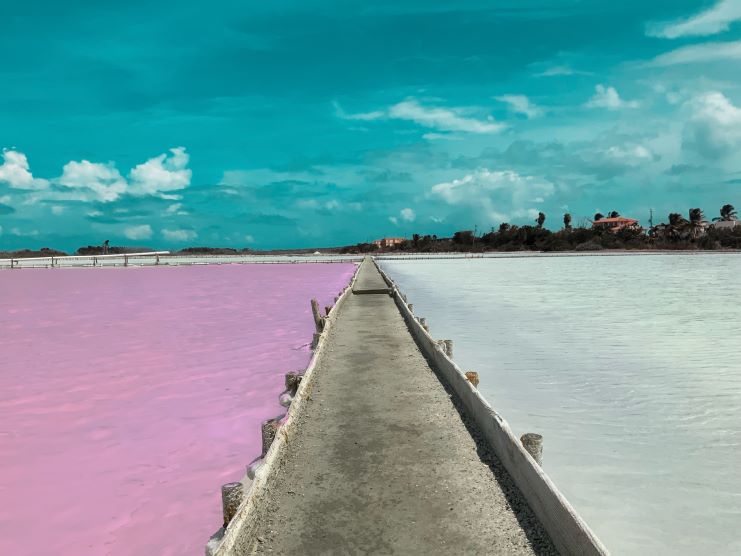 image of the Pink Salt Lake