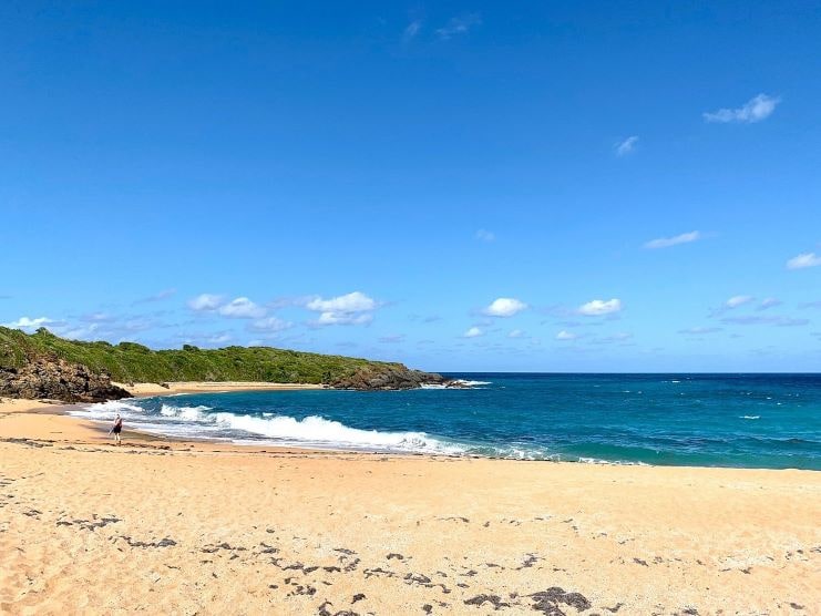 image of Playa Escondida beach