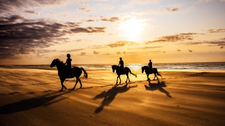 image of Riding Horses at the Beach
