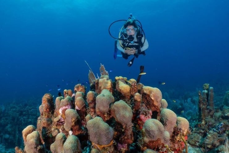 image a woman doing scuba diving