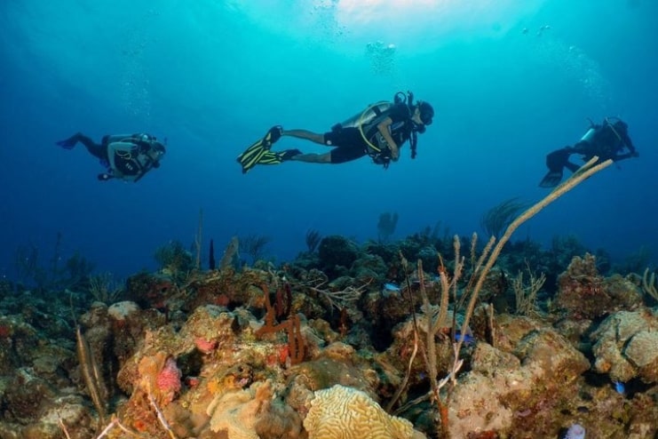 image of Scuba Divers