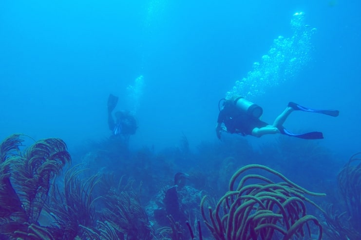 image of scuba divers