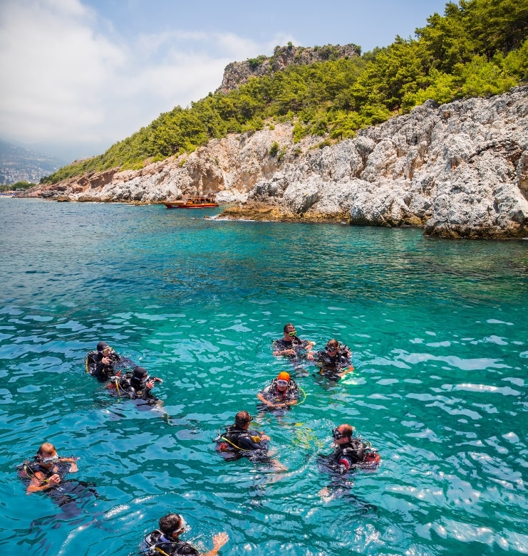 image of scuba divers