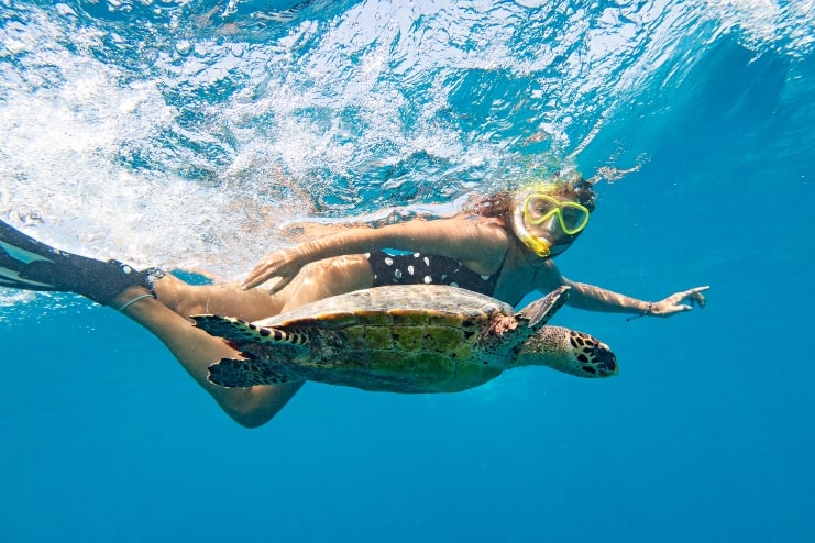 image of a person with sea turtle