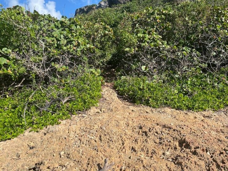 image showing the path to go from Table Top to Survival Beach