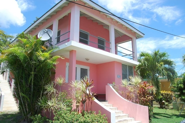 image of The Pink House