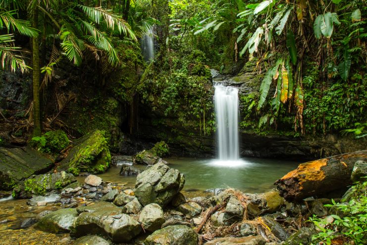 image of a waterfall in El Yunque National Forest