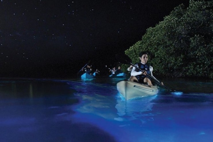 image of kayaking at night