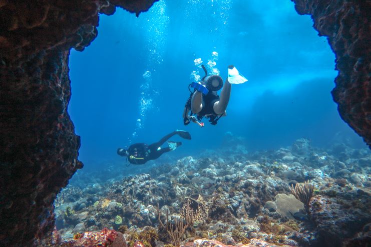 image of scuba divers underwater