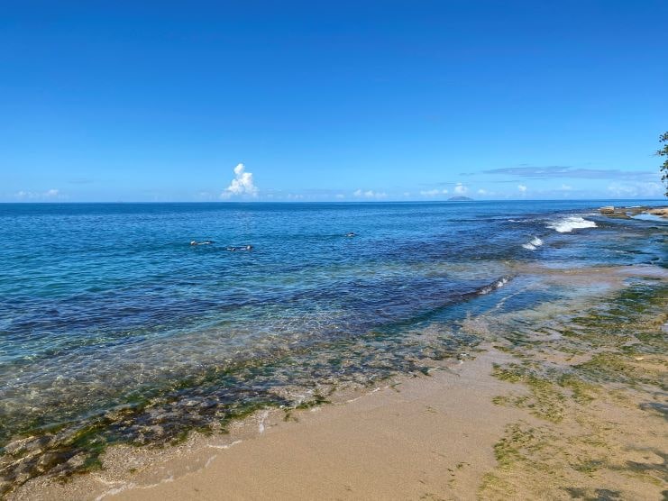 image of the the best spot to enter the water to snorkel in Steps Beach