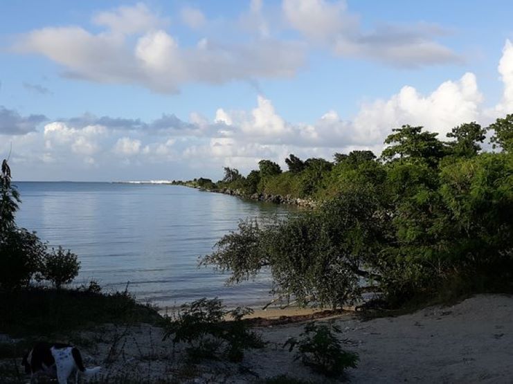 image of Blaydin Beach