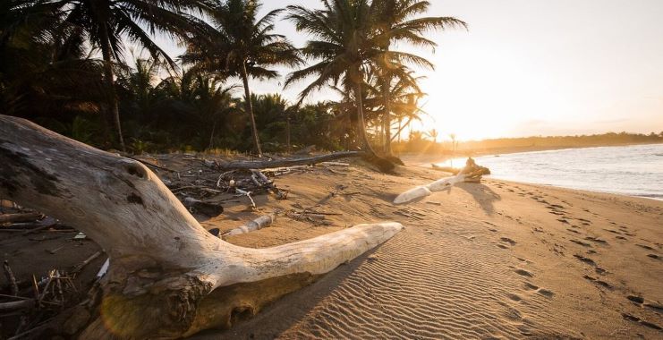 image of El Unico Beach