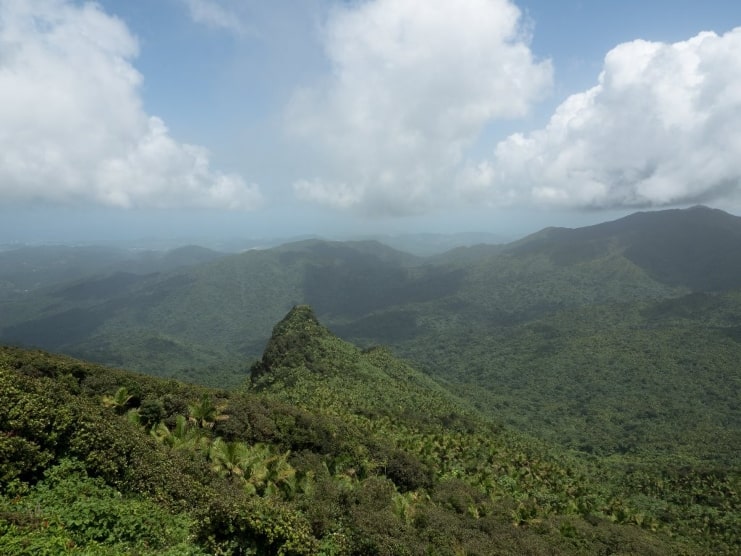 image of El Yunque Trail