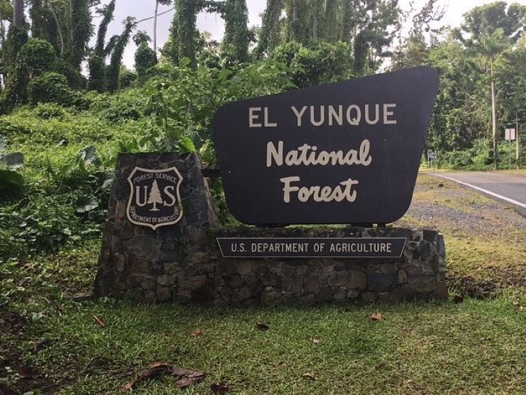 image of El Yunque