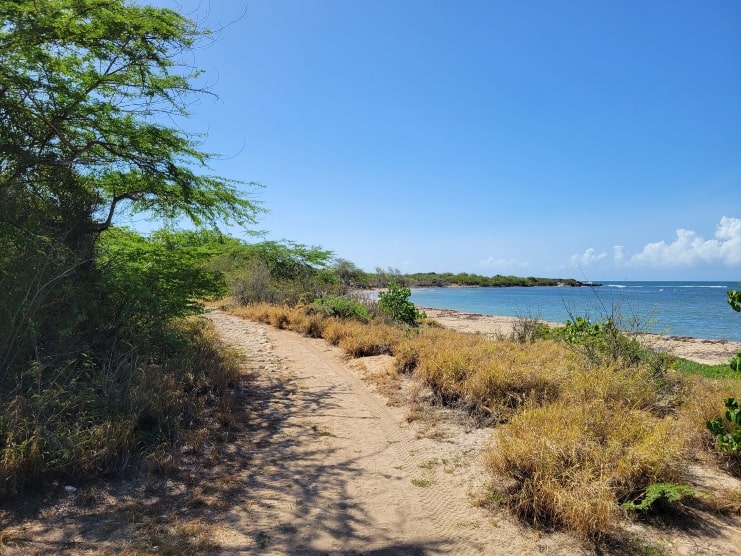 image of Guánica Meseta Trail