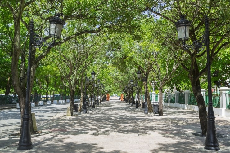 image of Paseo de la Princesa