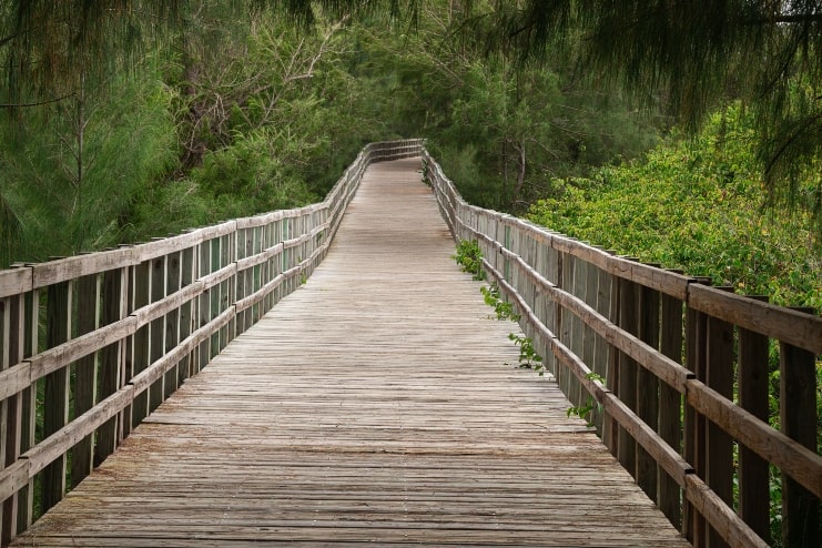 image of Paseo tablado en playa jobos