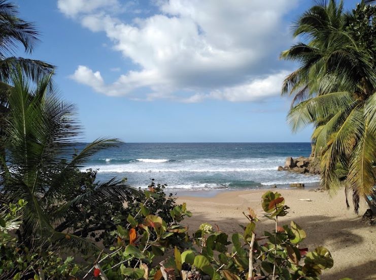 image of Pools Beach