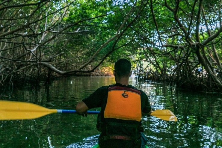 image of kayaking at a river